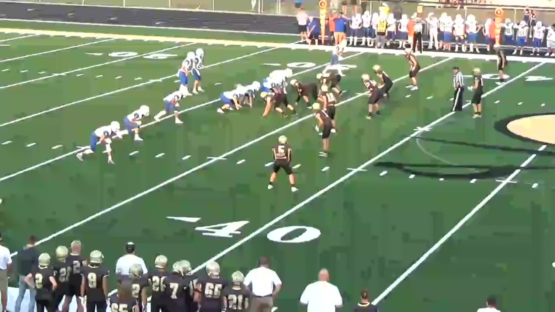 Lake Fenton High School Wyatt Bower highlights Hudl