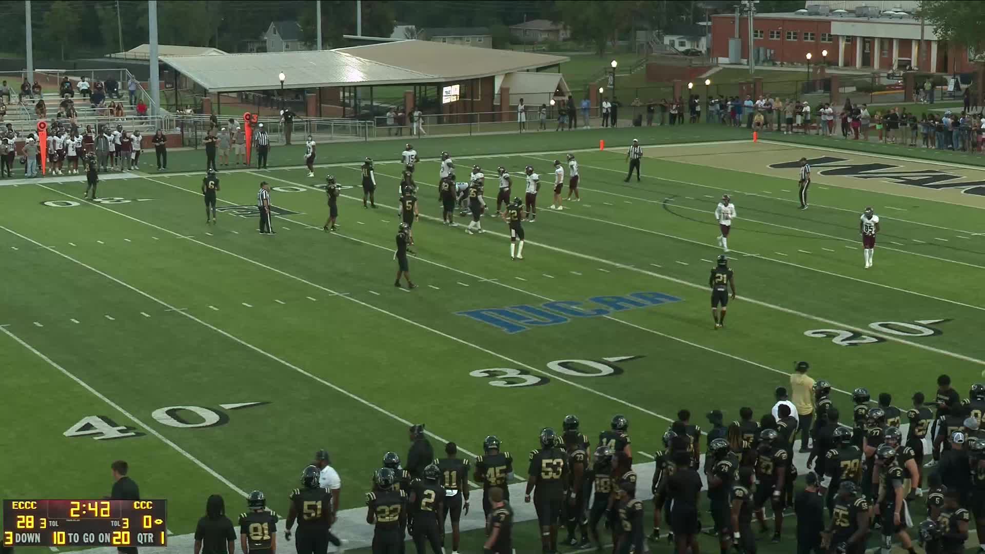 Freshman Film
