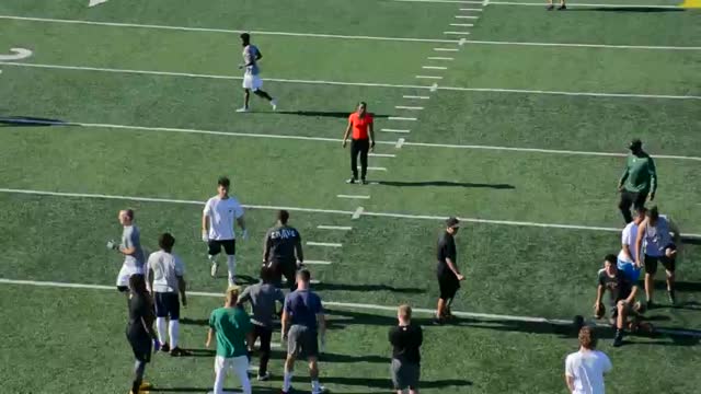 Safety Antoinette Harris 2nd Woman To Earn Football Scholarship