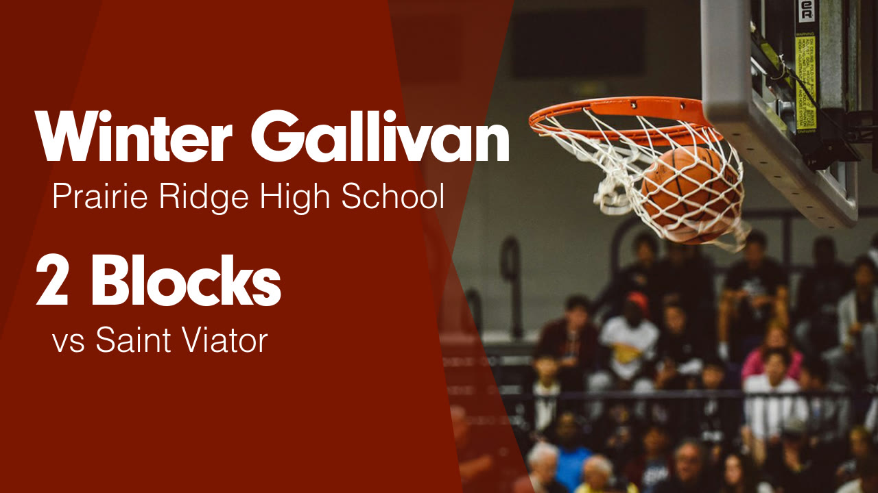 2 Blocks vs Saint Viator - Winter Gallivan highlights - Hudl